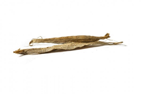 DIANA Gobi - Fisch getr.